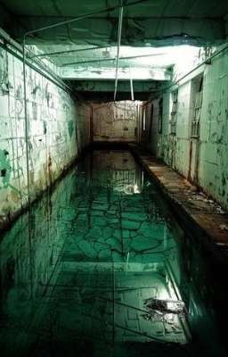 Три заветных слова