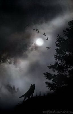 Война Волков 