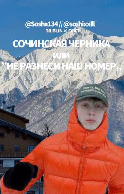 «сочинская черника» или «не разнеси наш номер» // Dilblin