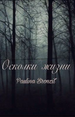 Осколки жизни