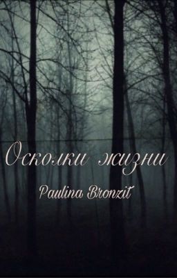 Осколки жизни