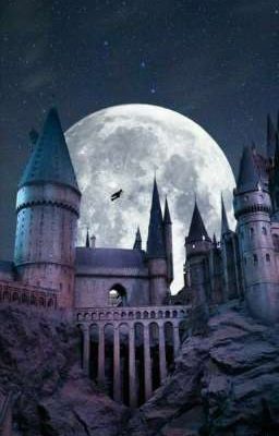 Драко и Т/И(Фанфик)