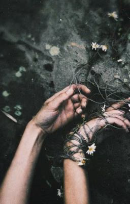 Foxfire [Draco Malfoy]