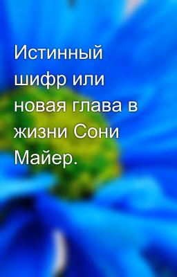 Истинный шифр или новая глава в жизни Сони Майер.