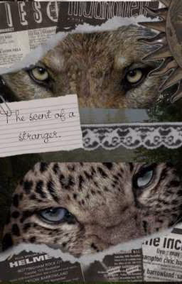 The scent of a stranger./ Запах чужака.