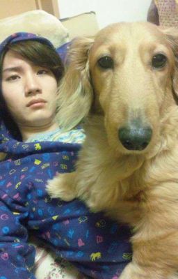 английский ненависти/Нираги