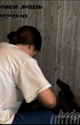 Увидимся лишь ночью ( больше никогда )//Софья Кульгавая