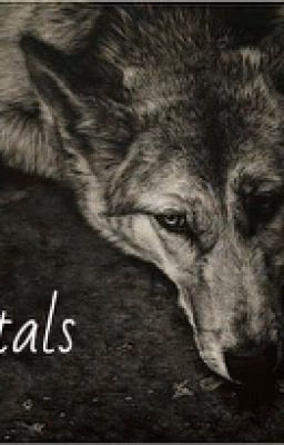 Оборотни, как собаки, любят поиграть, или Immortals.