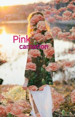 Розовая гвоздика