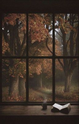 Литературный инцидент