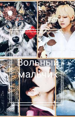 Вольный мальчик[VKOOK]