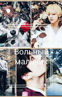 Вольный мальчик[VKOOK]