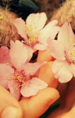 Нежность (Анри Барбюс)