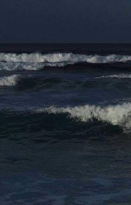 vivimos en el mar..