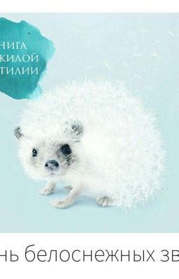 Грань белоснежных звёзд