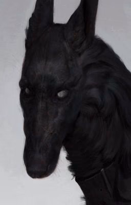 Моё солнце