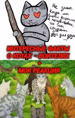 Интересные факты о Котах-Воителях / моя реакция на них