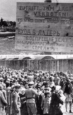 Они были сильными и смелыми