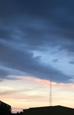 Музыка от сердца к сердцу 