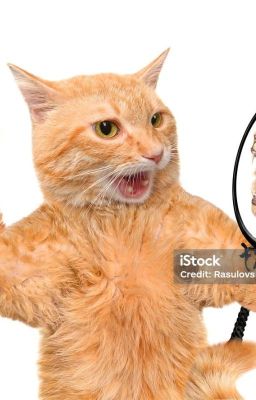 Испорченный праздник или один день из жизни кота Кузьмы