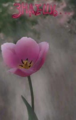 //Аромат твоих  последних тюльпанов//