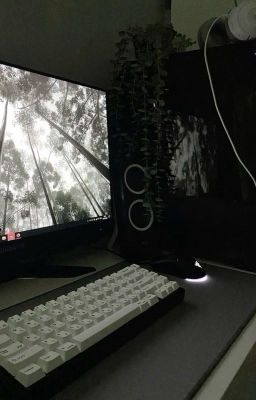 Вечерний стрим|||Куертов