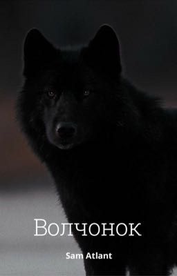 Волчонок