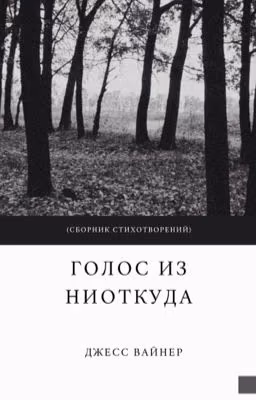 Голос из ниоткуда