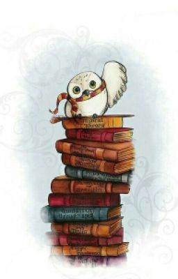 Литература. Вопросы и ответы.