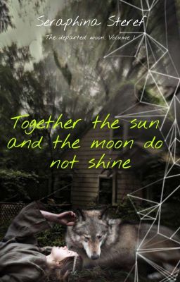 Вместе солнцу и луне не светить [16+]