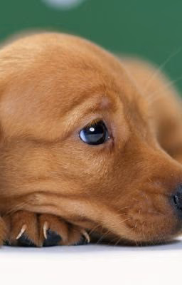 Это была школа...