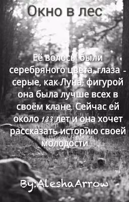 Окно В Лес