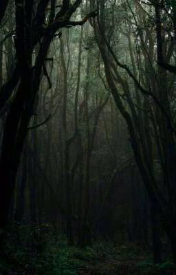 Within
