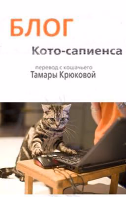 Блог Кото-Сапиенса