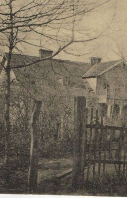 Владимир Титов "Уединенный домик на Васильевском"