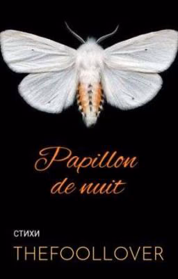 Papillon de nuit