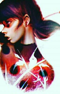 ЛедиБаг и КотНуар 