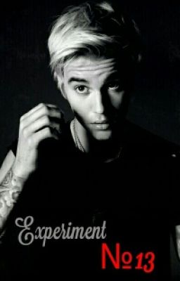 Эксперимент №13