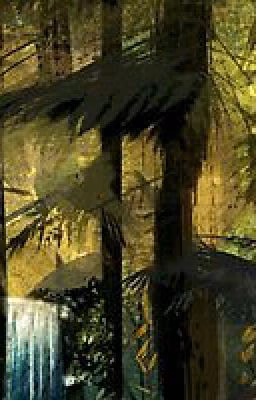 Crying Of The Woods