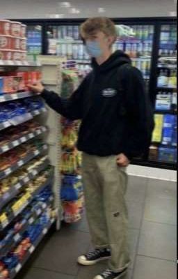 || новенький?....||Tommyinnit/reader [завершено]