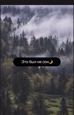 «Мои сны🌙»