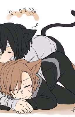 Кошачья любовь?