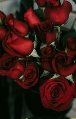 Розы без шипов.