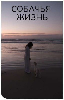 Собачья жизнь
