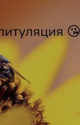 Капитуляция