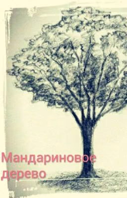 Мандариновое дерево
