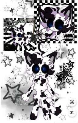 Разноцветные коты: История перед победой