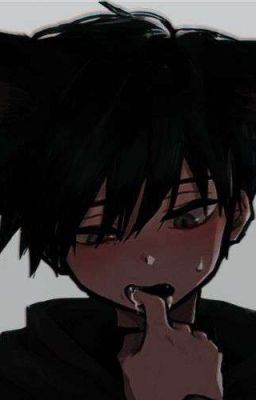 брошенный кот