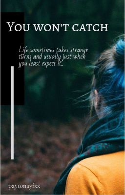 Не поймаешь (завершена)