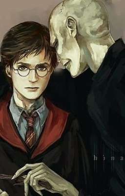 Гарри Поттер: Пробуждение Тьмы